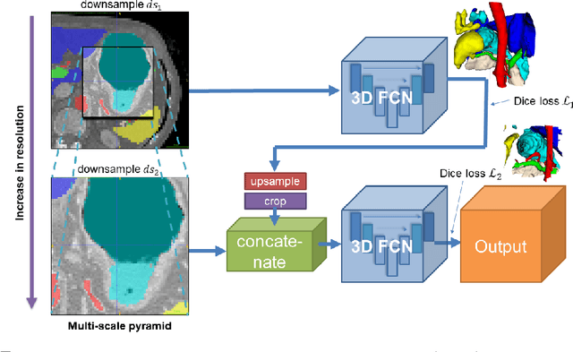 Figure 1 for A multi-scale pyramid of 3D fully convolutional networks for abdominal multi-organ segmentation
