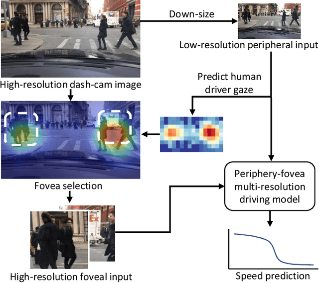 Figure 1 for Periphery-Fovea Multi-Resolution Driving Model guided by Human Attention