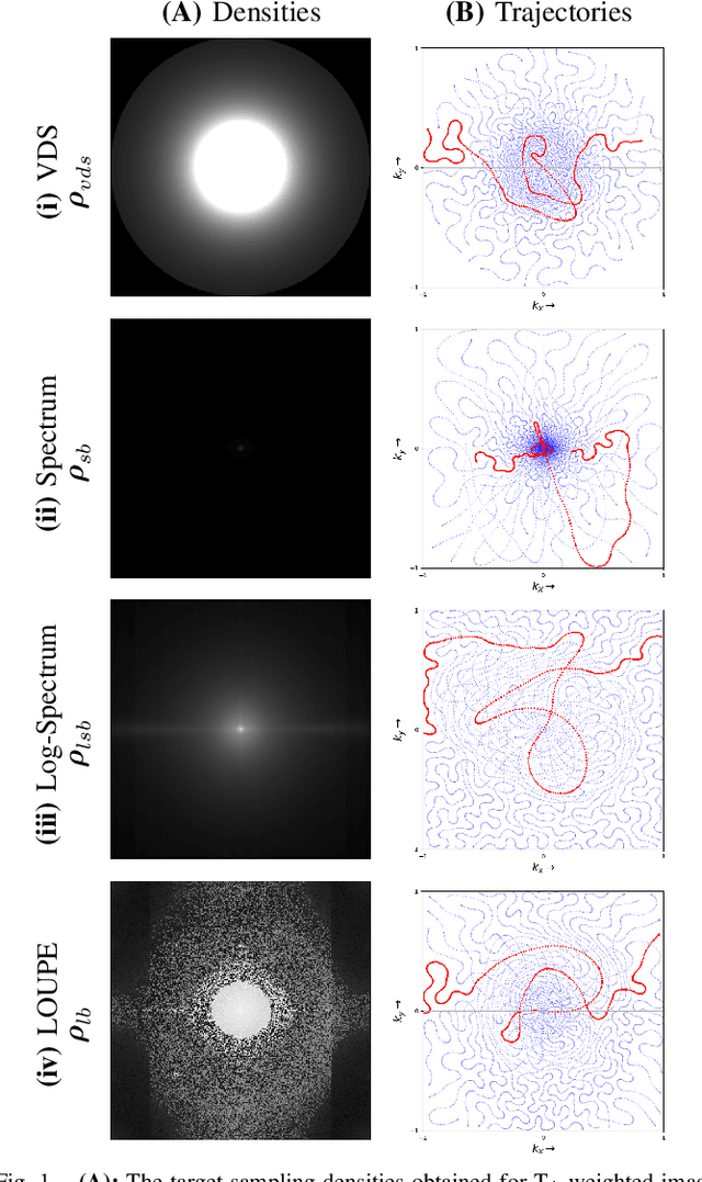 Figure 1 for Learning the sampling density in 2D SPARKLING MRI acquisition for optimized image reconstruction