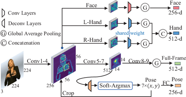 Figure 2 for Spatial-Temporal Multi-Cue Network for Continuous Sign Language Recognition