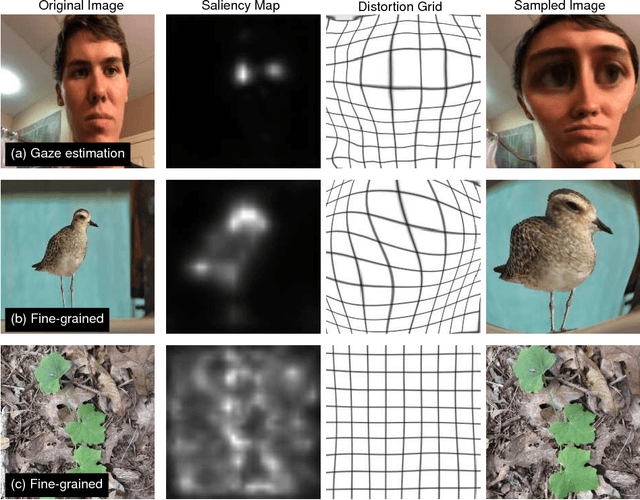 Figure 3 for Learning to Zoom: a Saliency-Based Sampling Layer for Neural Networks