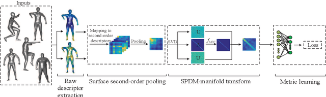 Figure 1 for Learning Spectral Transform Network on 3D Surface for Non-rigid Shape Analysis