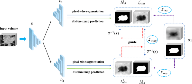 Figure 2 for Semi-supervised Medical Image Segmentation via Geometry-aware Consistency Training