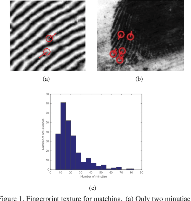 Figure 1 for Latent Fingerprint Recognition: Role of Texture Template