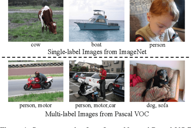 Figure 1 for Deep Semantic Dictionary Learning for Multi-label Image Classification