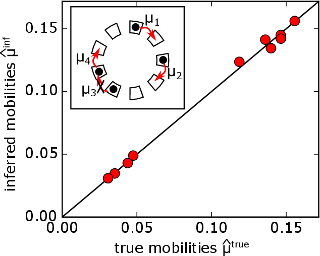 Figure 3 for Inferring the parameters of a Markov process from snapshots of the steady state
