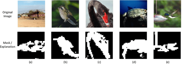 Figure 4 for Neural Image Compression and Explanation