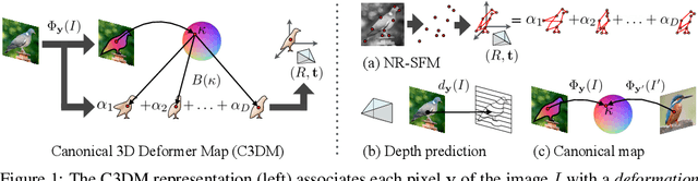 Figure 1 for Canonical 3D Deformer Maps: Unifying parametric and non-parametric methods for dense weakly-supervised category reconstruction
