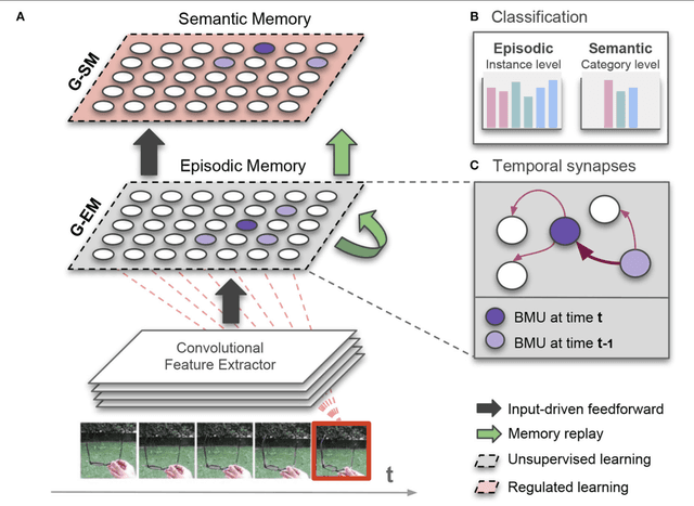 Figure 1 for Lifelong Learning of Spatiotemporal Representations with Dual-Memory Recurrent Self-Organization