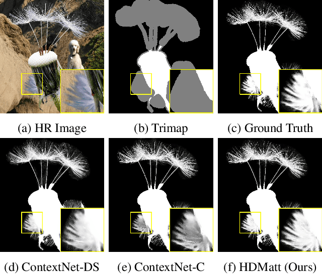 Figure 1 for High-Resolution Deep Image Matting