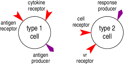 Figure 2 for Experimenting with Innate Immunity