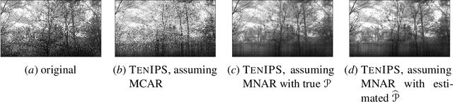 Figure 4 for TenIPS: Inverse Propensity Sampling for Tensor Completion
