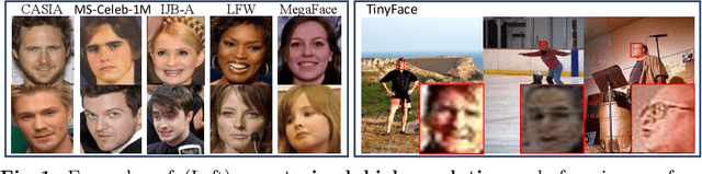 Figure 1 for Low-Resolution Face Recognition