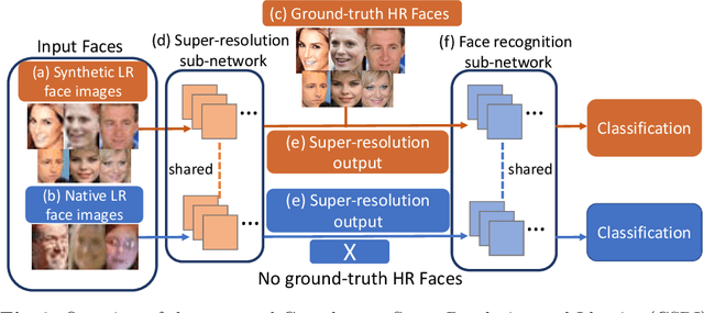 Figure 3 for Low-Resolution Face Recognition