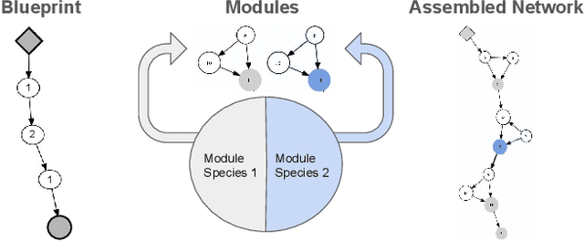 Figure 3 for Evolutionary Neural AutoML for Deep Learning