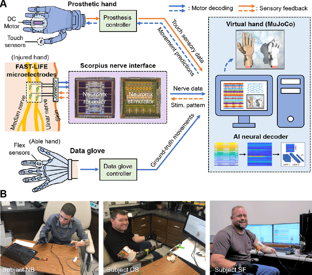 Figure 3 for Artificial Intelligence Enables Real-Time and Intuitive Control of Prostheses via Nerve Interface