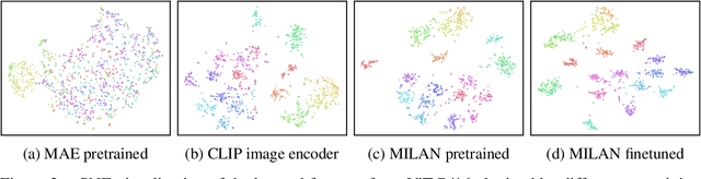 Figure 3 for MILAN: Masked Image Pretraining on Language Assisted Representation