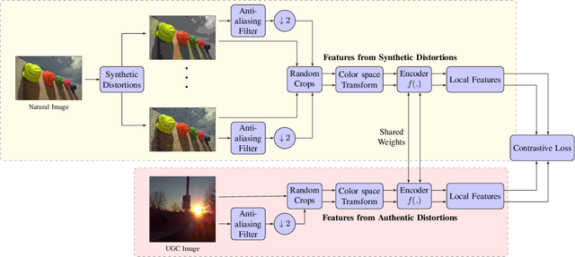 Figure 1 for Image Quality Assessment using Contrastive Learning