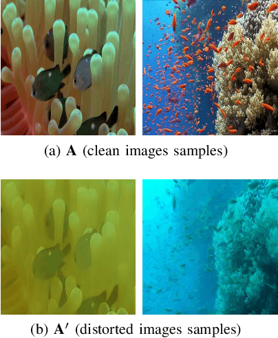 Figure 3 for Underwater Color Restoration Using U-Net Denoising Autoencoder