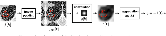Figure 1 for Standardised convolutional filtering for radiomics