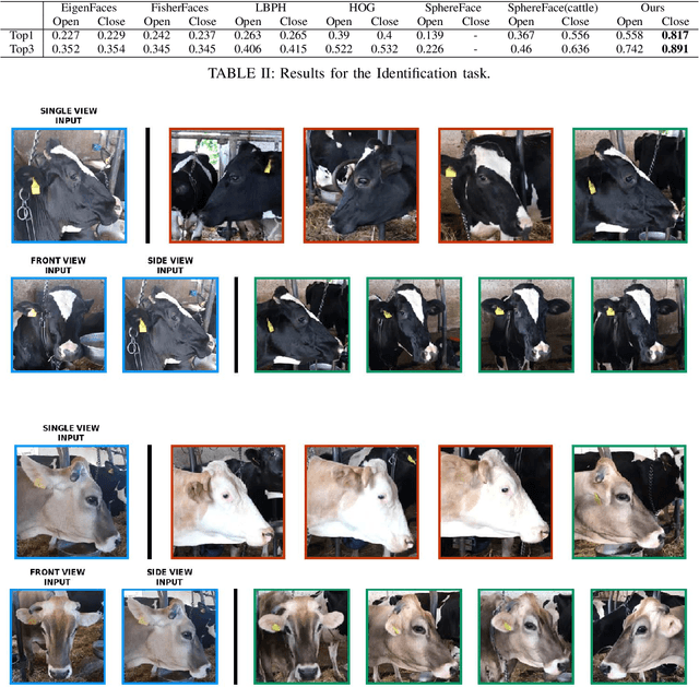 Figure 4 for Multi-views Embedding for Cattle Re-identification