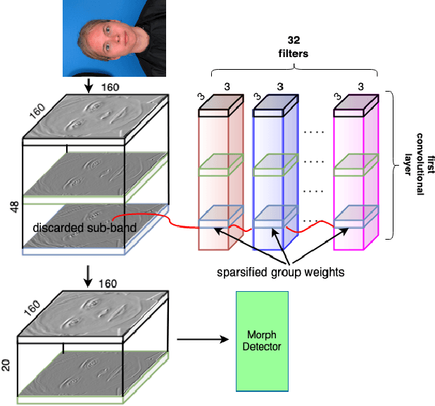 Figure 1 for Morph Detection Enhanced by Structured Group Sparsity