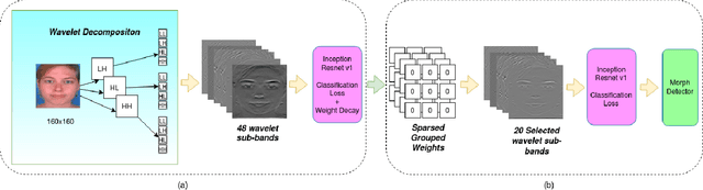 Figure 3 for Morph Detection Enhanced by Structured Group Sparsity