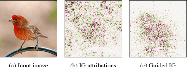 Figure 1 for Guided Integrated Gradients: An Adaptive Path Method for Removing Noise
