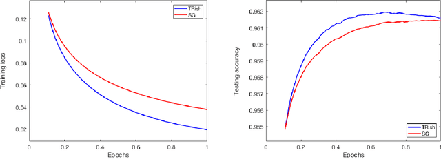 Figure 4 for A Stochastic Trust Region Algorithm Based on Careful Step Normalization