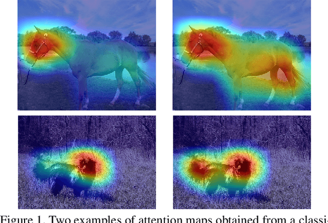 Figure 1 for Find it if You Can: End-to-End Adversarial Erasing for Weakly-Supervised Semantic Segmentation