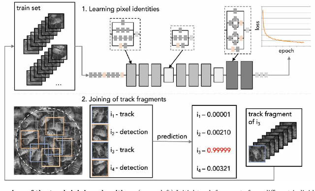 Figure 3 for Pixel personality for dense object tracking in a 2D honeybee hive