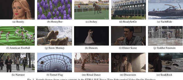 Figure 1 for A Subjective and Objective Study of Space-Time Subsampled Video Quality