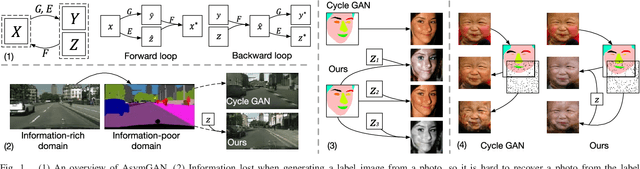 Figure 1 for Asymmetric GAN for Unpaired Image-to-image Translation