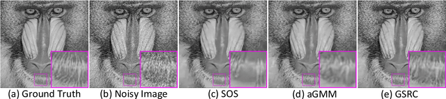 Figure 4 for Group Sparsity Residual Constraint for Image Denoising