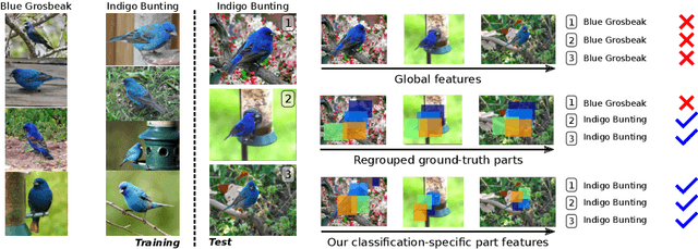 Figure 1 for Classification-Specific Parts for Improving Fine-Grained Visual Categorization