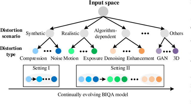 Figure 1 for Continual Learning for Blind Image Quality Assessment