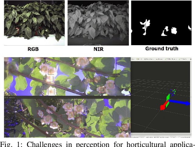 Figure 1 for An Overview of Perception Methods for Horticultural Robots: From Pollination to Harvest