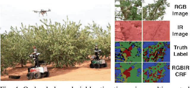 Figure 4 for An Overview of Perception Methods for Horticultural Robots: From Pollination to Harvest
