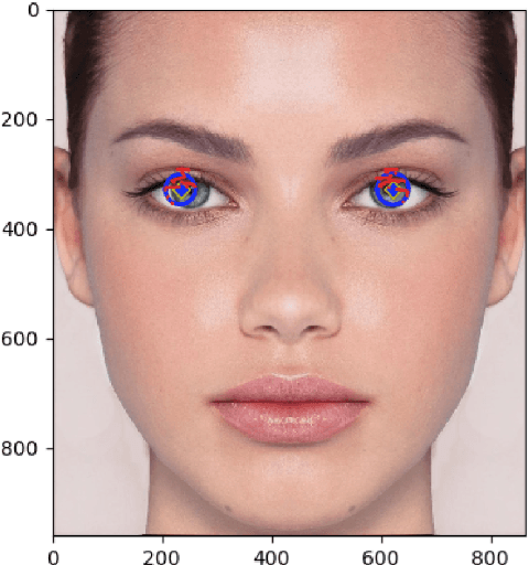 Figure 2 for Gazing into the Abyss: Real-time Gaze Estimation