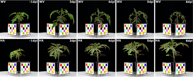 Figure 3 for Image-Based Plant Wilting Estimation