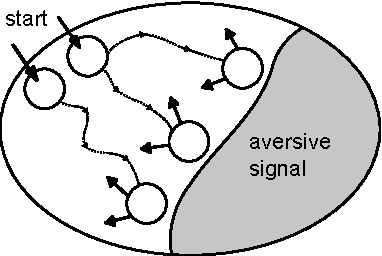 Figure 1 for On Avoidance Learning with Partial Observability