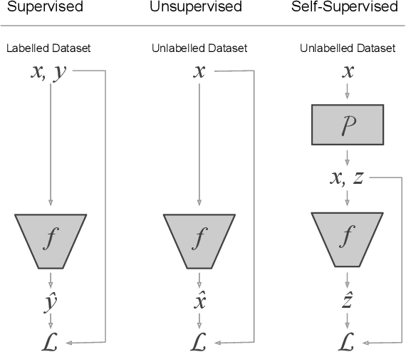 Figure 1 for Self-Supervised Representation Learning: Introduction, Advances and Challenges