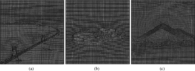 Figure 3 for The Generation and Application of Medical Image Grid Based on Differential Geometric Features