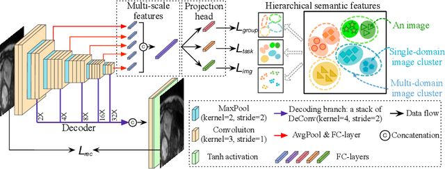 Figure 4 for Hierarchical Self-Supervised Learning for Medical Image Segmentation Based on Multi-Domain Data Aggregation