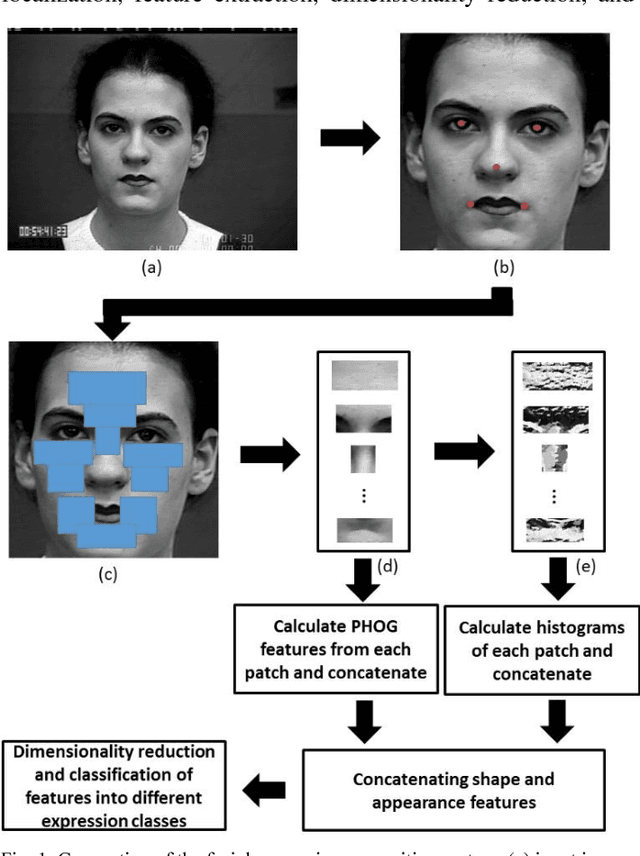 Figure 1 for Robust Facial Expression Classification Using Shape and Appearance Features