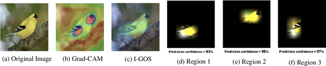 Figure 1 for Structured Attention Graphs for Understanding Deep Image Classifications