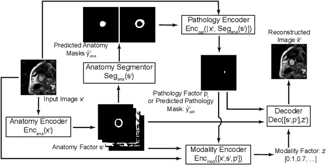 Figure 3 for Semi-supervised Pathology Segmentation with Disentangled Representations