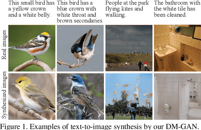 Figure 1 for DM-GAN: Dynamic Memory Generative Adversarial Networks for Text-to-Image Synthesis
