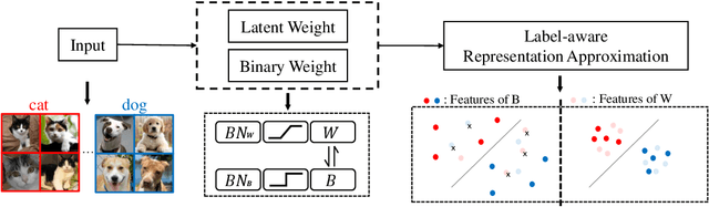 Figure 3 for Improving Binary Neural Networks through Fully Utilizing Latent Weights