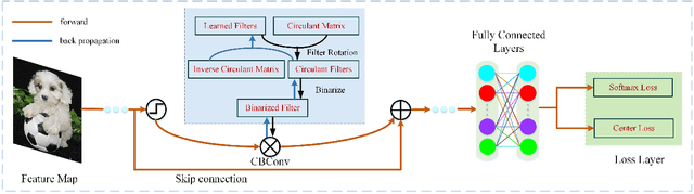 Figure 3 for Circulant Binary Convolutional Networks: Enhancing the Performance of 1-bit DCNNs with Circulant Back Propagation